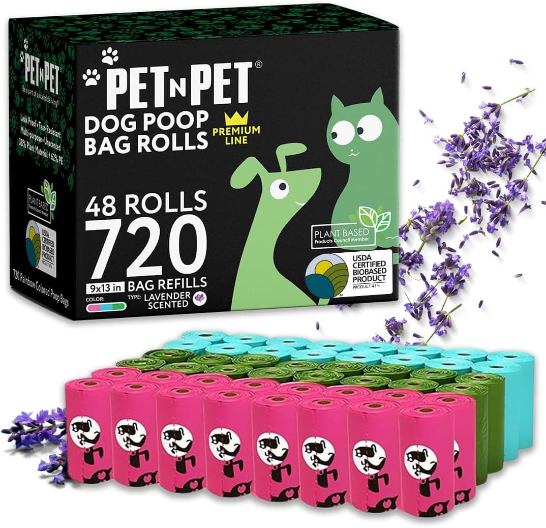 Person walking a Golden Retriever on a sunny street